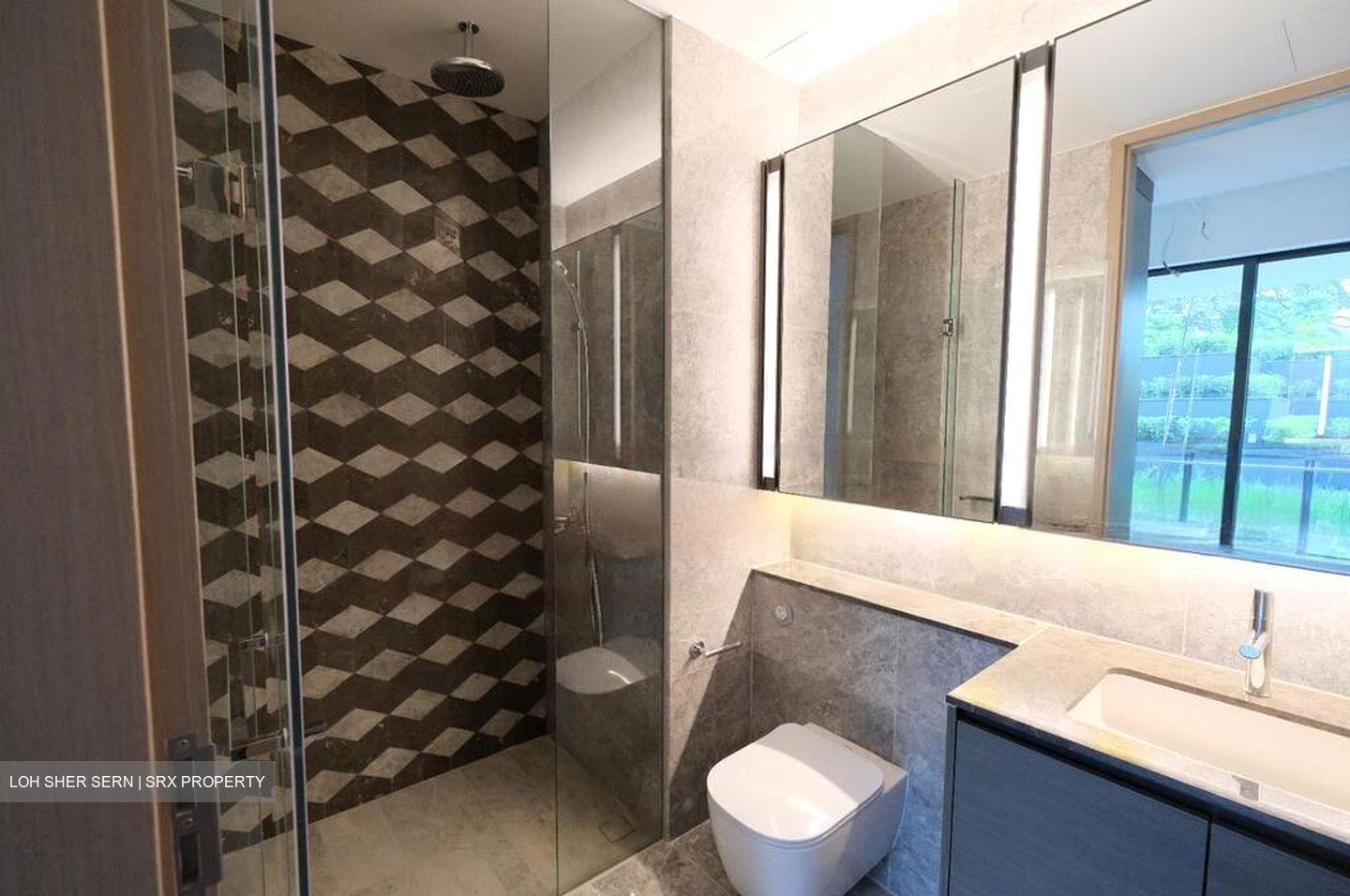 Leedon Green (D10), Condominium #504388281